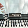 BEATBIT Piano Notes Guide for Beginner, Removable Piano Keyboard Note Labels by BEATBIT