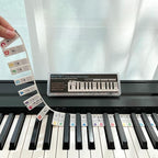 BEATBIT Piano Notes Guide for Beginner, Removable Piano Keyboard Note Labels by BEATBIT