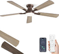 zmishibo 52 inch ceiling fans with lights, remote&app, main product view
