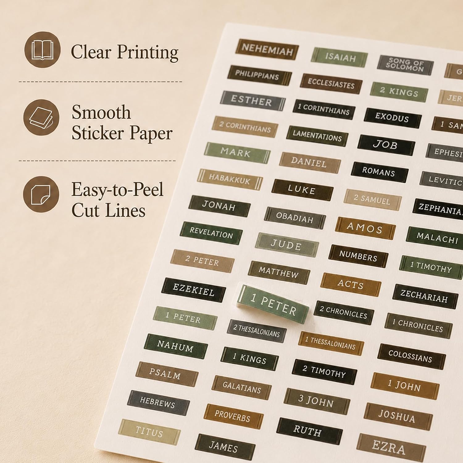 Bible Reading Tracker Bible Labels Bible Study Stickers Bible Study Supplies Unique Gifts for Bible Readers Beginning the Journey of Deeper Reading in the Bible (Macaron Bookshelf)