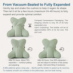 Ailuteie Ergonomic Lumbar Support Pillow – Multi-Functional Back Cushion - Image 8