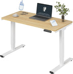 FLEXISPOT E6 3-Stage Dual Motor Electric Standing Desk 48 x 24 Sit Stand Up Desk by FlexiSpot