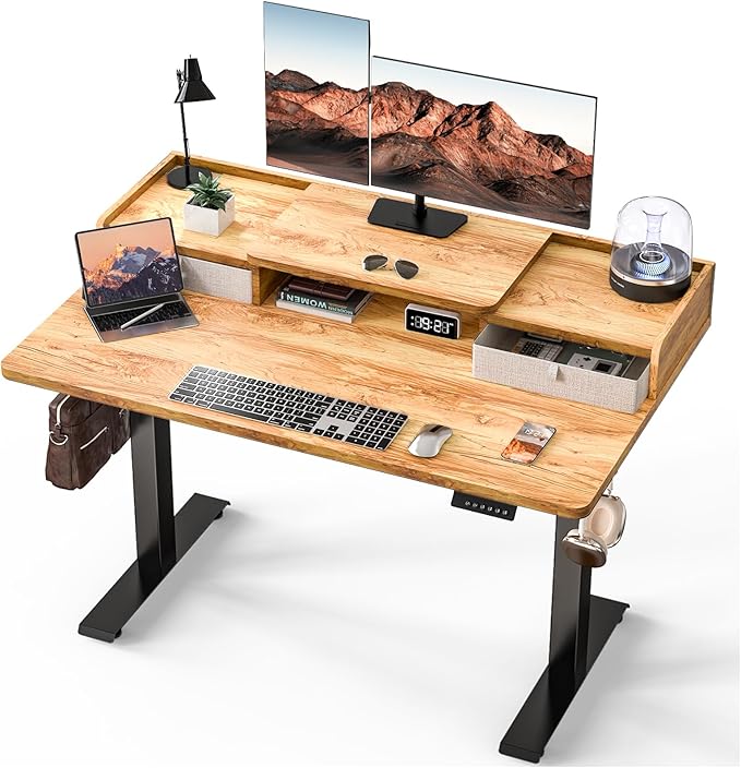 Kingant 48 x 30 Inch Electric Standing Desk by KINGANT