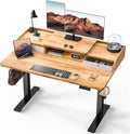 Kingant 48 x 30 Inch Electric Standing Desk by KINGANT