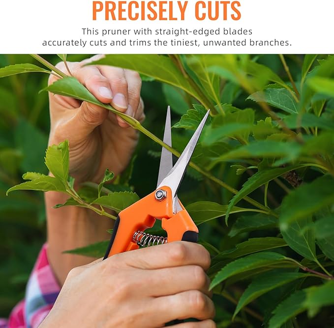 BEoffer 4 Pack Pruning Shears, 6.5 Inch Garden Scissors Gardening Hand Pruning - Image 2
