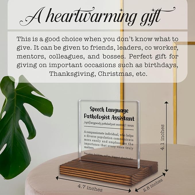 Speech Language Pathologist Assistant Gift Desk Sign, Appreciation Decor Plaque - Image 4