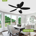 ceiling fans with lights - 42 inch low, front angle view