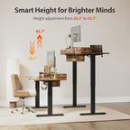 Agilestic Glass Standing Desk - Image 9