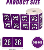 500pcs 2026 Year Stickers, 5x2.5cm/1.97x0.98in 26 Year Colored Self-Adhesive - Image 2