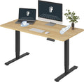 FLEXISPOT E6 3-Stage Dual Motor Electric Standing Desk 55 x 28 Sit Stand Up Desk