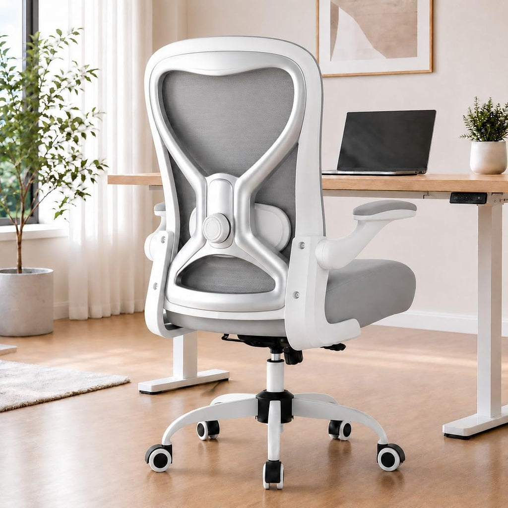 ergonomic home office chair, 4-way lumbar, thick cushion, main product view