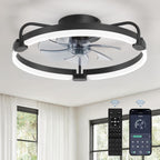 lediary 20" ceiling fans with lights and remote, main product view