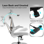 Ergonomic Office Chair for Back & Neck Pain Relief, Virgin Foam Seat, 2D Adjustable Lumbar & 3D Headrest, Tilt & Rock for Relaxation, Ideal for Long Sitting Comfort, White/Gold