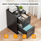 INTERGREAT 2 Drawer File Cabinet, Lockable Vertical File Office Cabinet - Image 5