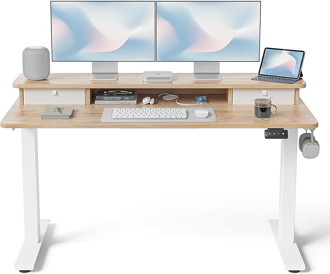 FEZIBO 55 x 24 Inch Height Adjustable Electric Standing Desk by FEZIBO