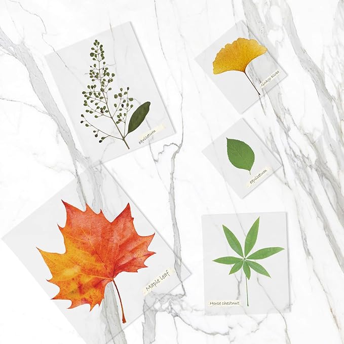 Thermal Laminating Pouches, FungLam Clear Laminating Sheets, 3 Mil Thickness - Image 6