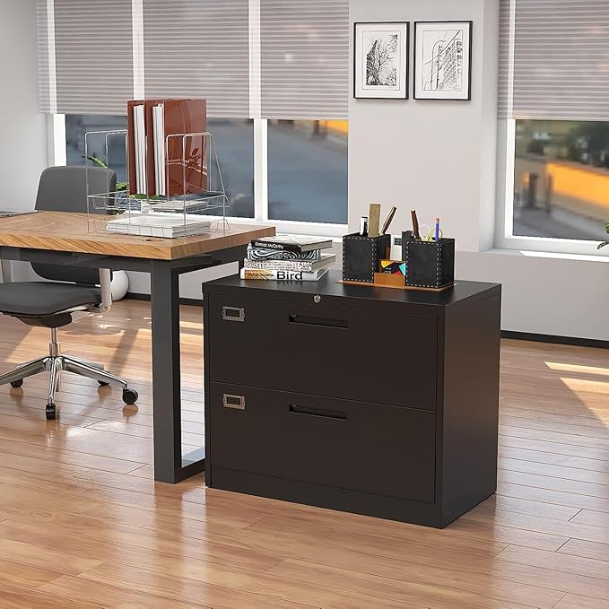 Fesbos Lateral File Cabinet - Image 6