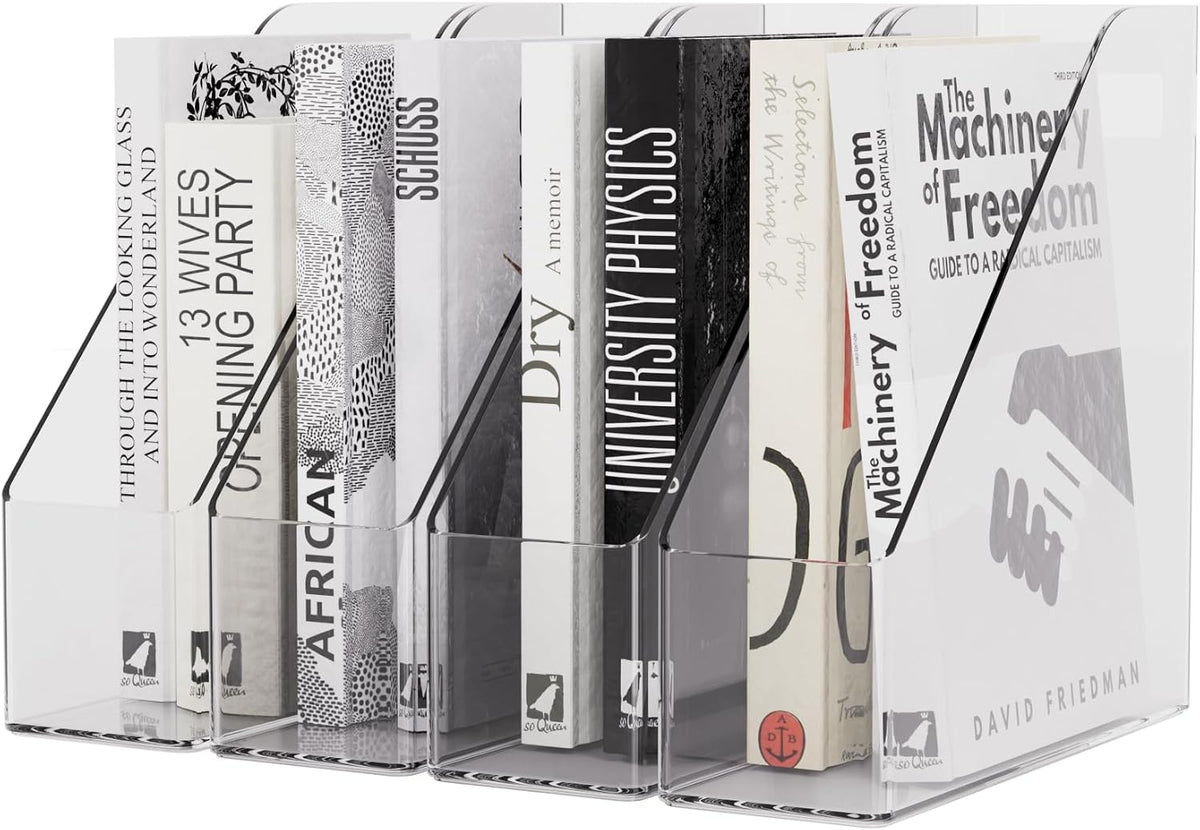 Magazine Holder, Clear Plastic Vertical File Magazine Organizer, Desktop File...