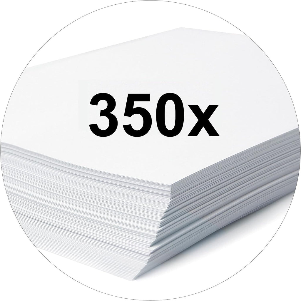 Falken Coloured Polypropylene Plastic Binder, Pack of 3 or 5 5er Pack Schmal Aqua