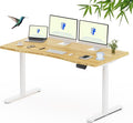 FLEXISPOT Bamboo Electric Standing Desk by FlexiSpot