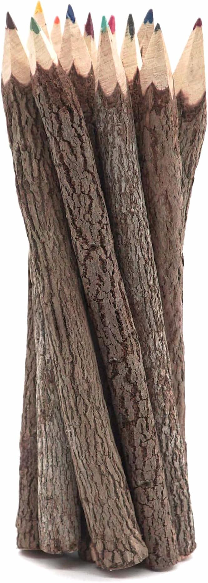BSIRI Bark 7 Inch Colors Pencils Set Assorted-Stick Twig of Wood Pencils by HB3FbyBSIRI