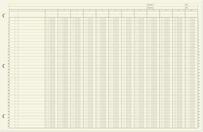 BookFactory Ledger Sheets/Large 12 Column Accounting Ledger Columnar Loose Leaf - Image 2