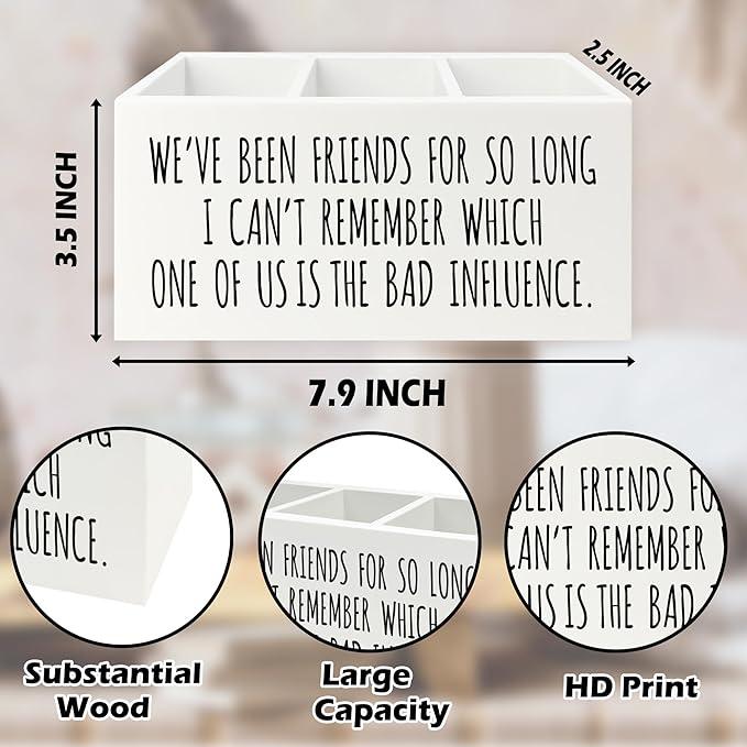 QZQE Funny Sarcastic Friendship Pen Pencil Holder Organizer - Image 7