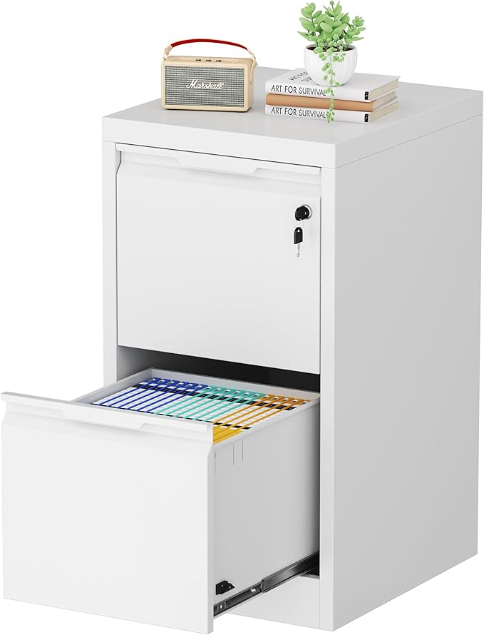 2-Drawer File Cabinet with Lock, Metal Vertical Filing Cabinets by MetalStorageCabinet