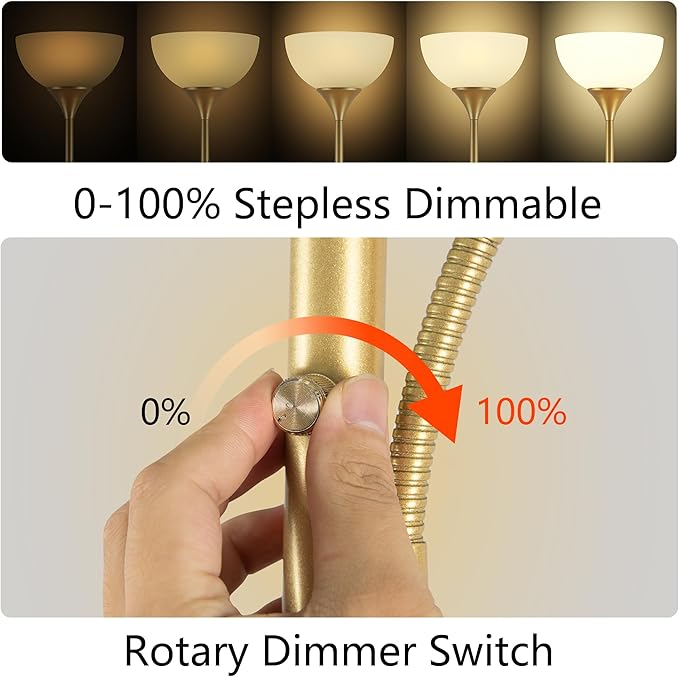 RISLG Floor Lamp, Standing lamp, Stepless Dimming Brightness, Included 9W and - Image 2