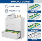 Fesbos Lateral File Cabinet - Image 5