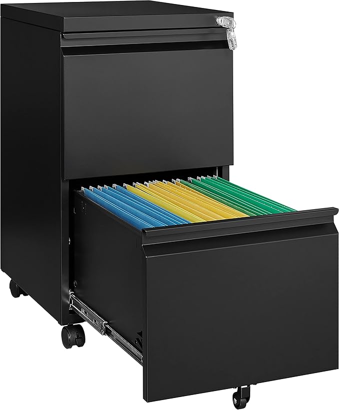 Fesbos 2 Drawer Vertical File Cabinet by Fesbos