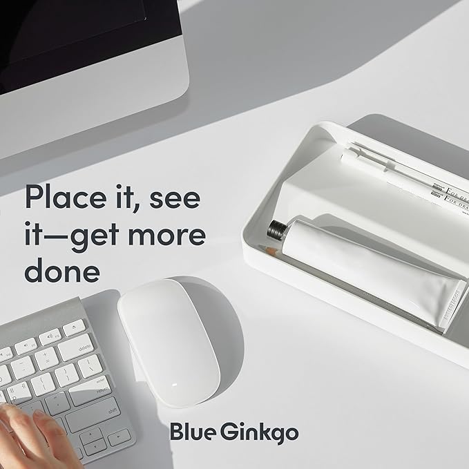BLUE GINKGO Desk Tray – Korean-Made Organizer - Image 4