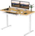 SANODESK Standing Desk with Drawer, Dual Motor 3 Stage Electric Height