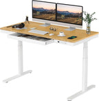 SANODESK Standing Desk with Drawer, Dual Motor 3 Stage Electric Height by sanodesk