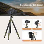 Cayer CH35 Travel Camera Tripod - Image 3