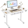 Agilestic Standing Desk with 2 Drawers, Adjustable Height Electric Desk with by Agilestic
