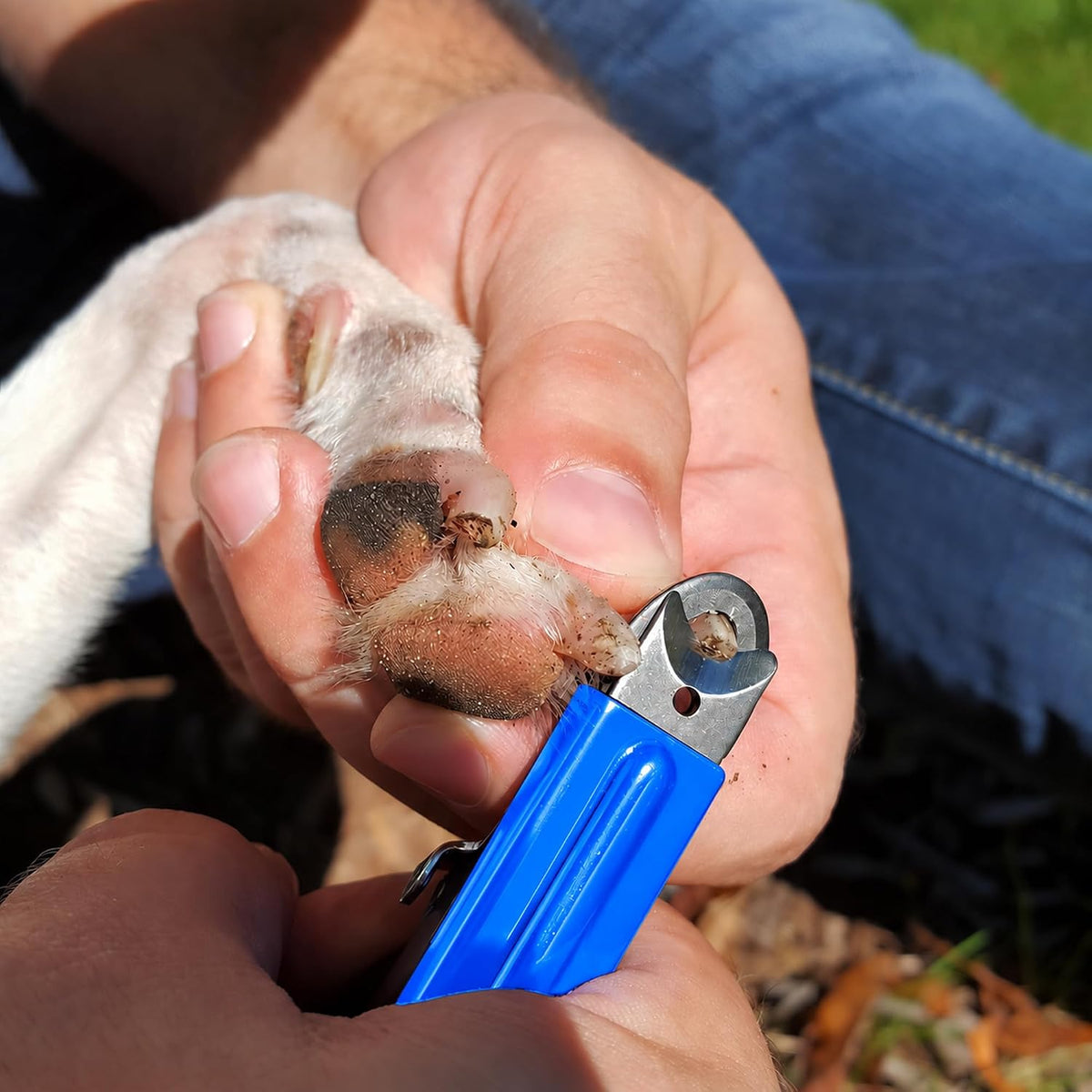 Resco Dog Nail Clipper Kit, Small to Medium