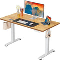ErGear Height Adjustable Electric Standing Desk, 40 x 24 Inches Sit Stand up by ErGear