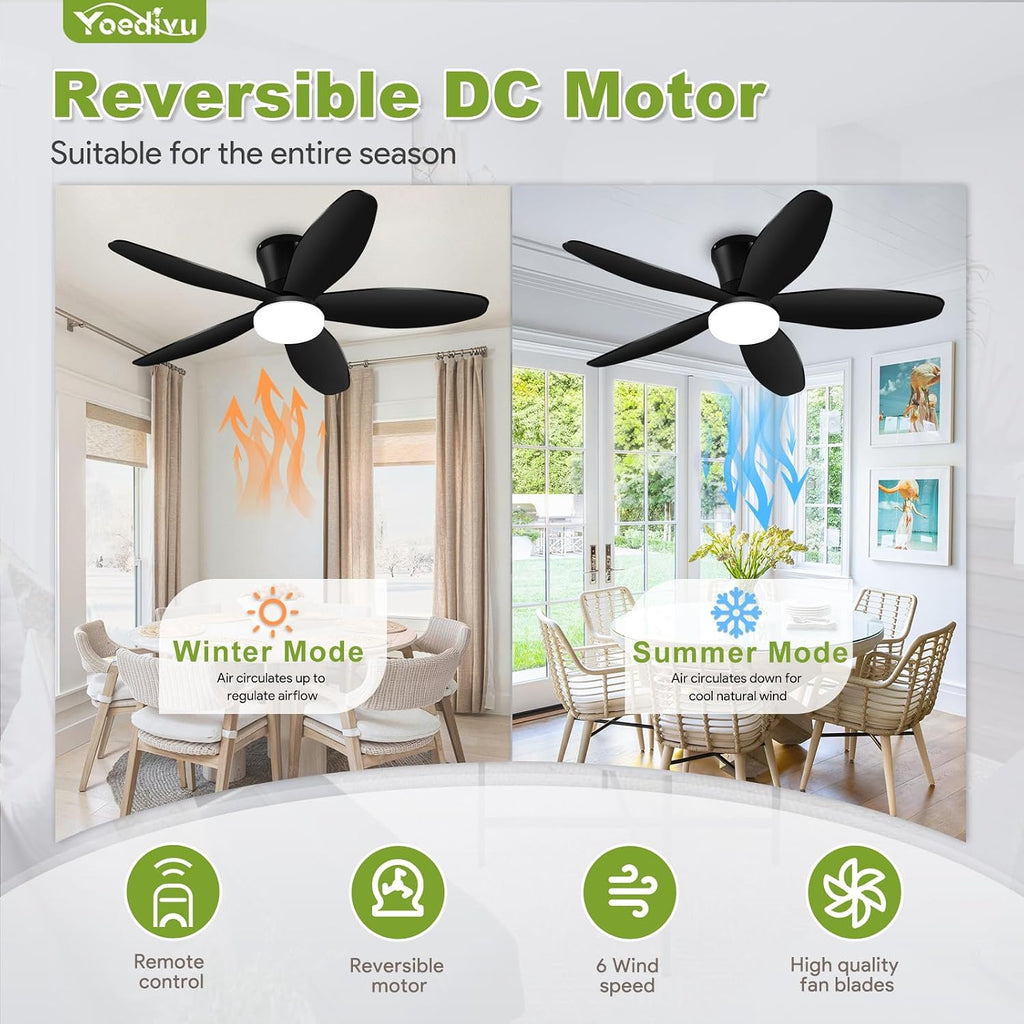 ceiling fans with lights - 42 inch low, close-up detail