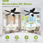 ceiling fans with lights - 42 inch low, close-up detail