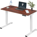 FLEXISPOT E6 Essential 3 Stages Dual Motor Electric Standing Desk 48x24 Inch by FlexiSpot
