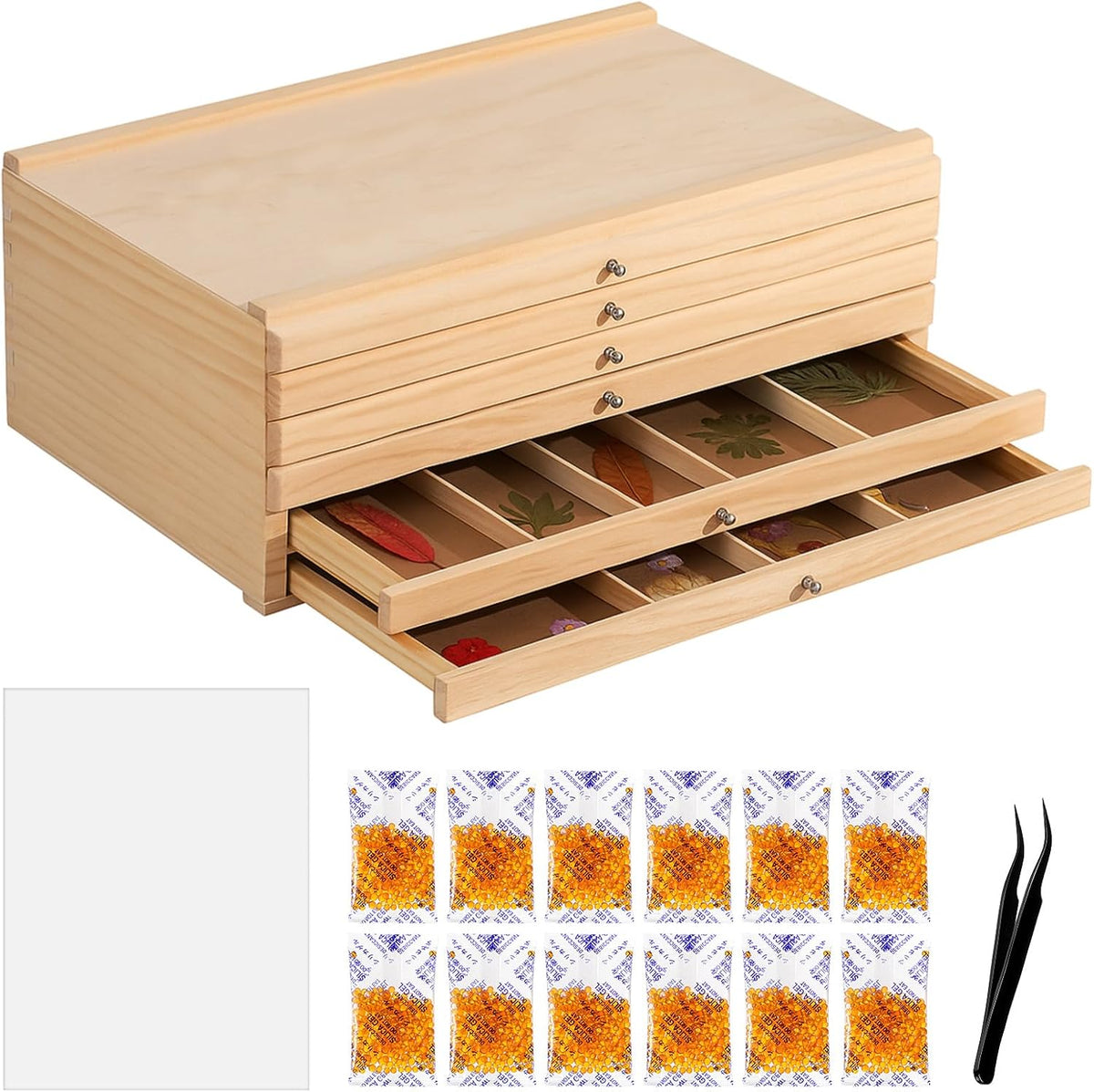 aceorbit 6 drawer wooden pressed flower storage box, main product view
