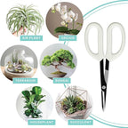 LOOPSEED Precision Gardening Scissors Plant Trimming Pruning Shears Garden - Image 5