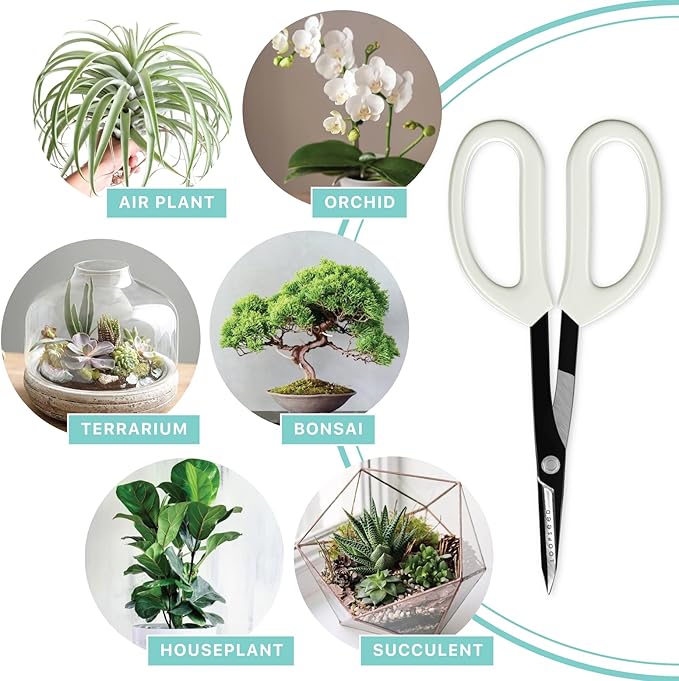 LOOPSEED Precision Gardening Scissors Plant Trimming Pruning Shears Garden - Image 5