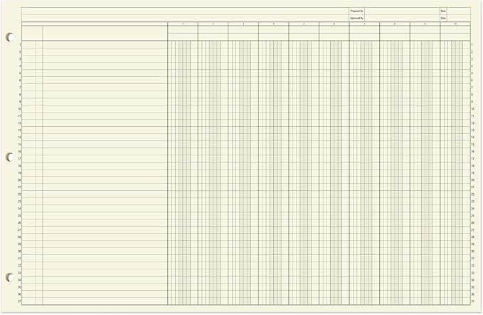BookFactory Ledger Pad/Large 10 Column Accounting Ledger Columnar Pads - Image 2