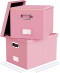 2 Pack Pink Leather File Storage Organizer by Oterri