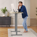 ErGear Dual Motor Standing Desk Legs for 44-90 inch Desktops, 264 lbs | 4 Memory Presets, Cable Tray, Dual Hooks, 28-47 inch Height Range, DIY Sit Stand Frame, Black Finish, Quiet Lifting, Grey