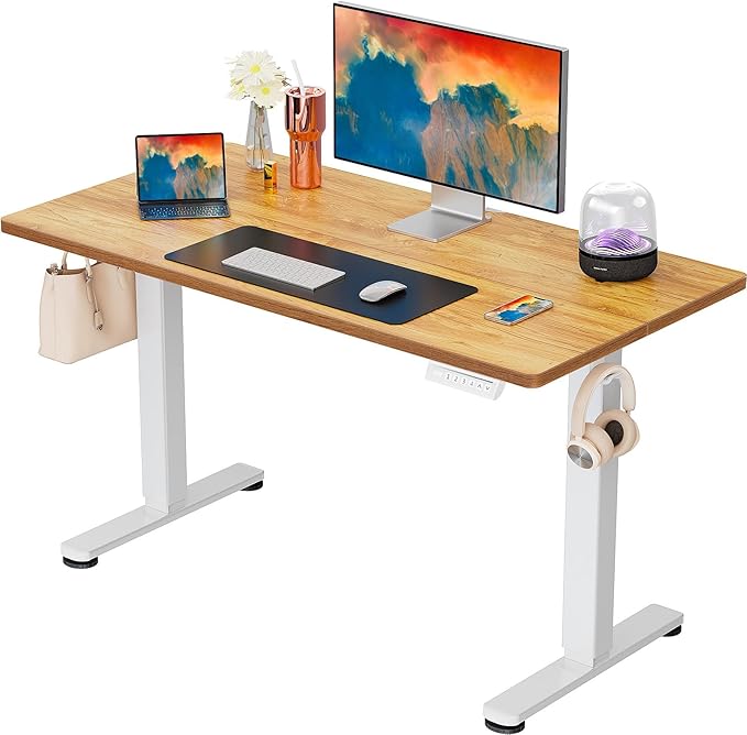 ErGear Electric Standing Desk, 44 x 24 Inches Height Adjustable Stand up Desk by ErGear