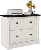 blini 2 Drawer File Cabinet Farmhouse Lateral File Cabinet - Image 8