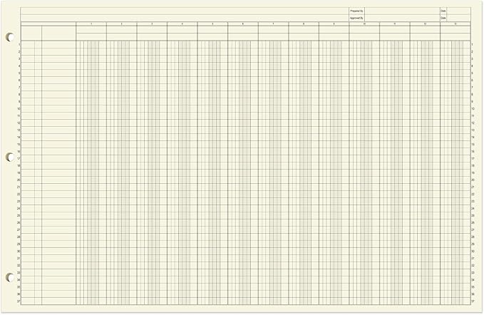 BookFactory Ledger Sheets/Large 13 Column Accounting Ledger Columnar Loose Leaf - Image 2